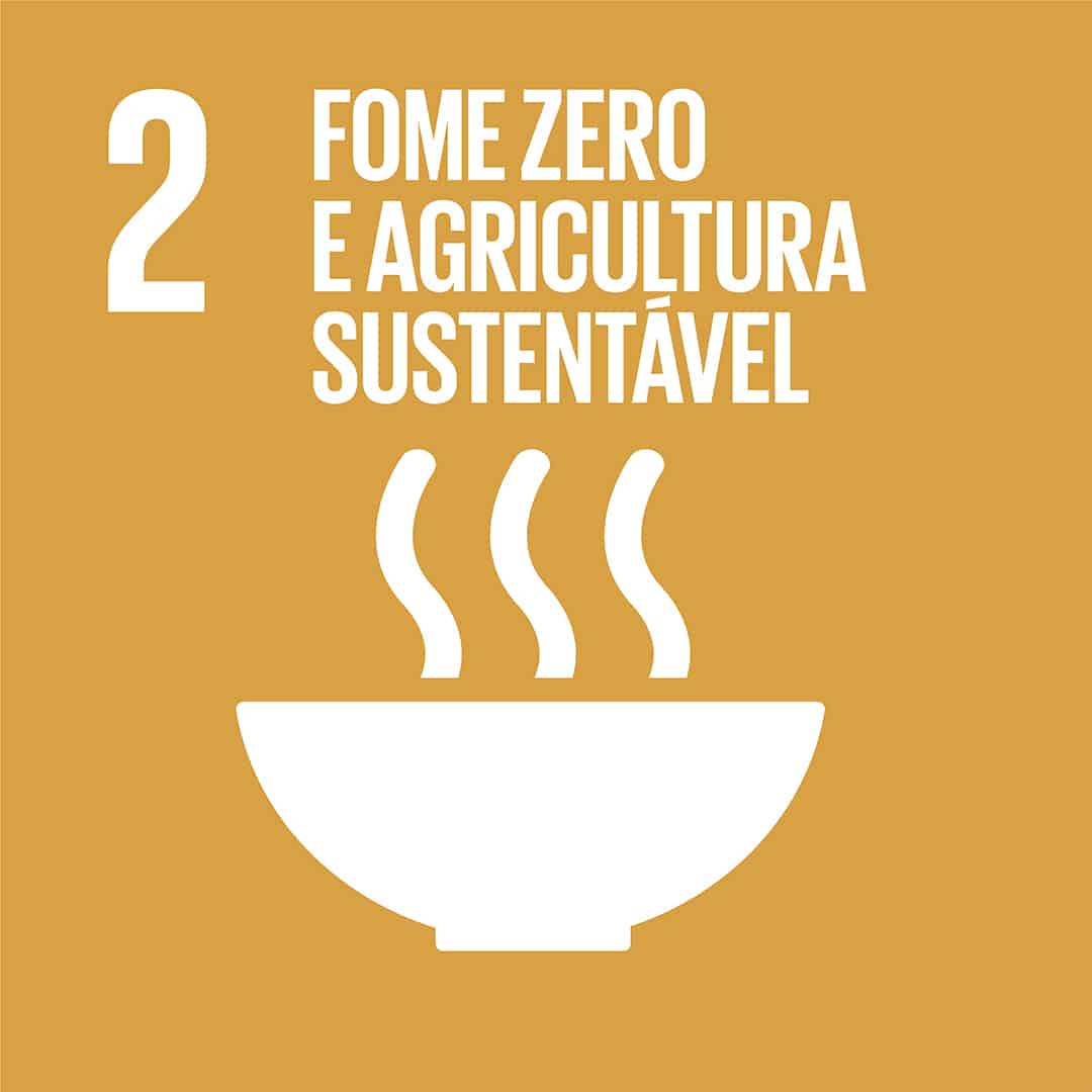 Ícone do ODS 2 – Fome zero e agricultura sustentável