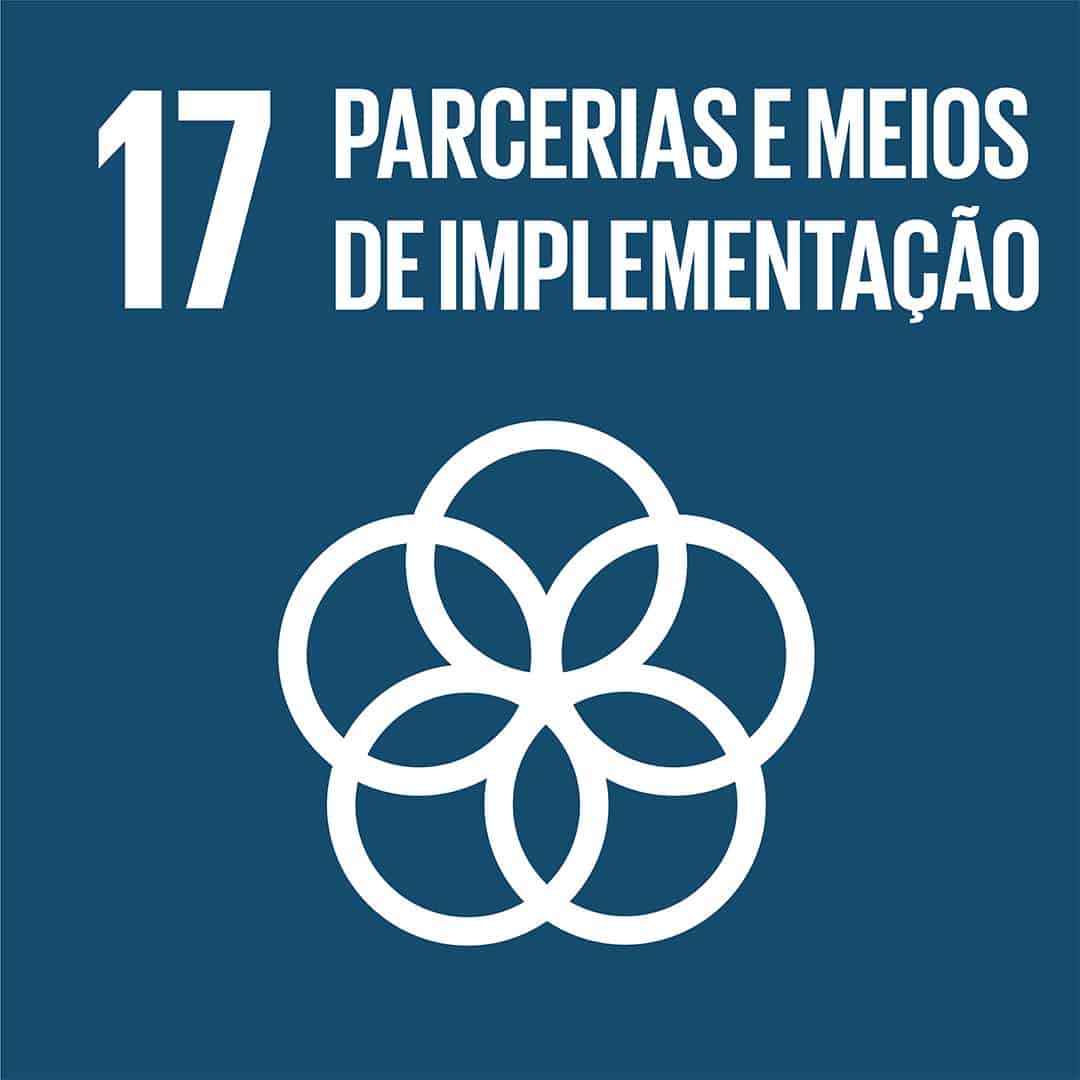 Ícone do ODS 17 – Parcerias e meios de implementação