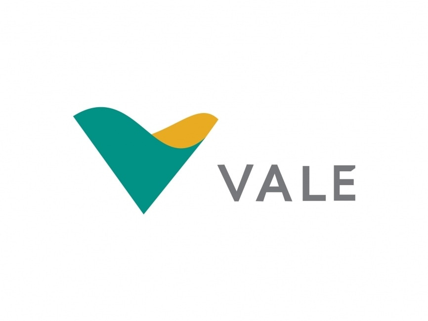 Logo da Vale, empresa parceira da FBPC